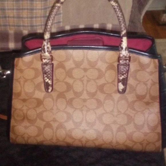 Snack skin embroidered Authentic Coach purse - Picture 2 of 3